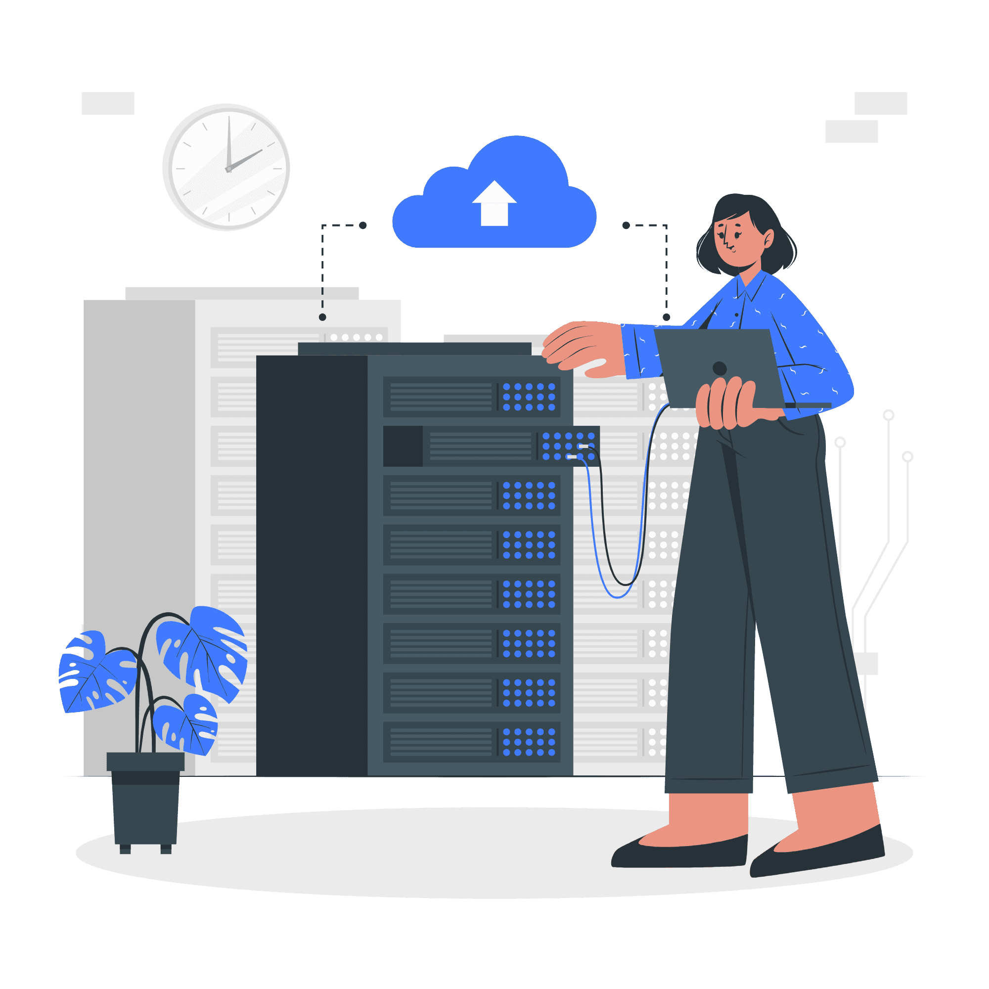 Data Policy Background